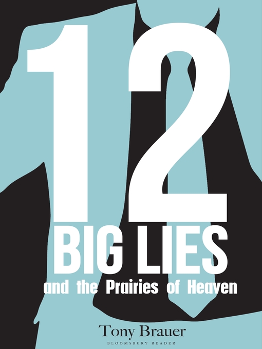 Title details for 12 Big Lies and the Prairies of Heaven by Tony Brauer - Available